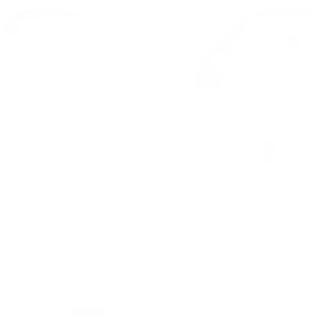 Fountain Records label mark